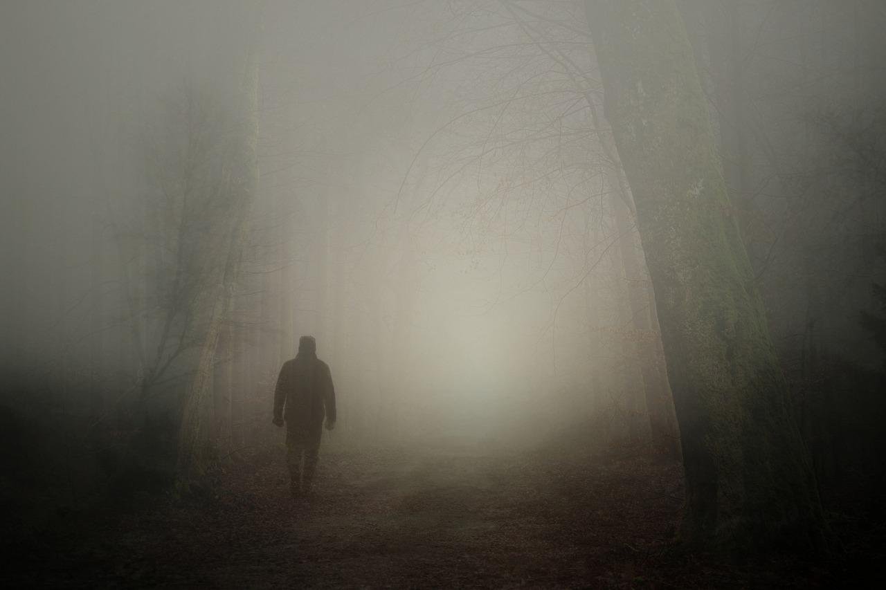 forest, fog, man-5238284.jpg