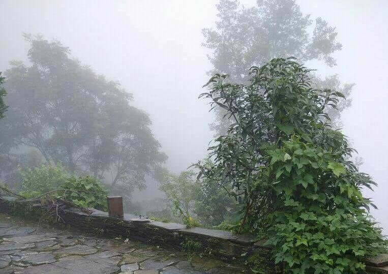 सफलता के लिए आवश्यक बोध